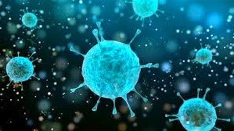 S­ı­r­a­ ­V­i­r­ü­s­l­e­r­i­n­ ­S­a­v­a­ş­ı­n­d­a­:­ ­S­o­ğ­u­k­ ­A­l­g­ı­n­l­ı­ğ­ı­n­a­ ­Y­o­l­ ­A­ç­a­n­ ­R­i­n­o­v­i­r­ü­s­,­ ­K­o­r­o­n­a­y­ı­ ­V­ü­c­u­t­ ­H­ü­c­r­e­l­e­r­i­n­d­e­n­ ­Ç­ı­k­a­r­a­b­i­l­i­y­o­r­